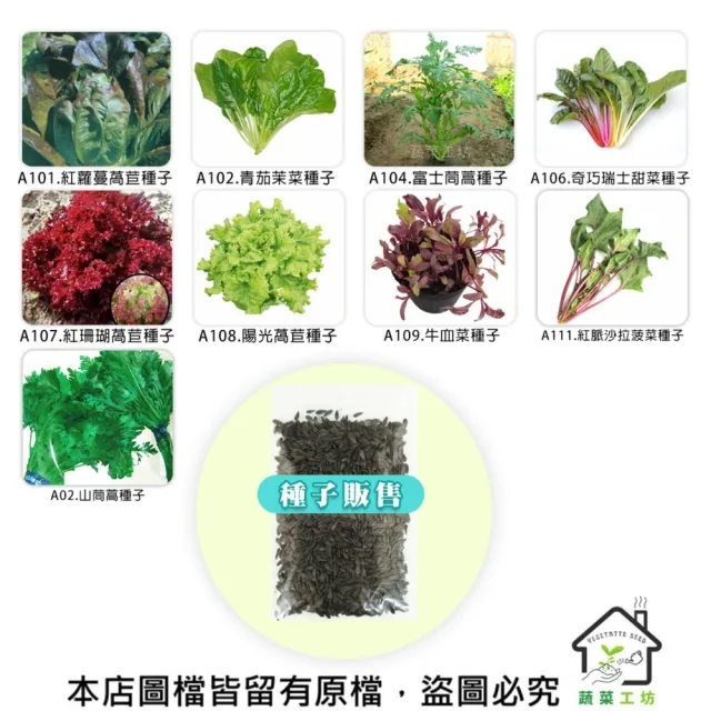 【蔬菜工坊】新手秋冬可栽培短期收成葉菜類種子系列(各包裝數量詳見內文及圖片)