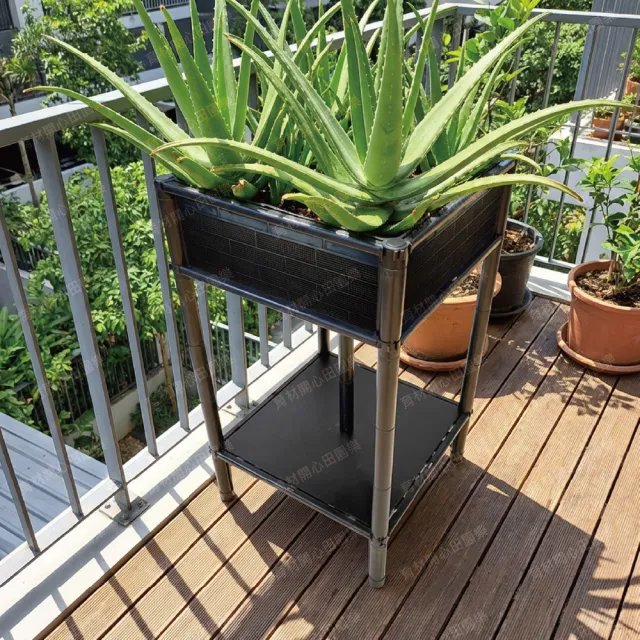 【田園樂】育材正單層單箱架高種植箱45*45cm(DIY組裝種菜箱；可選側板款式、組裝後高度)
