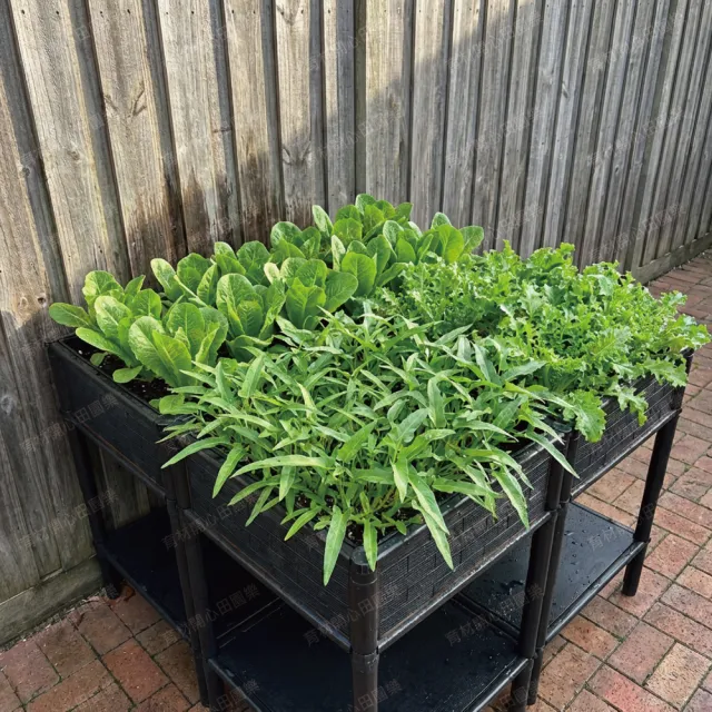 【田園樂】正單層四連通種植箱架高90*90cm(正方形底盤 架高免彎腰高度可選)