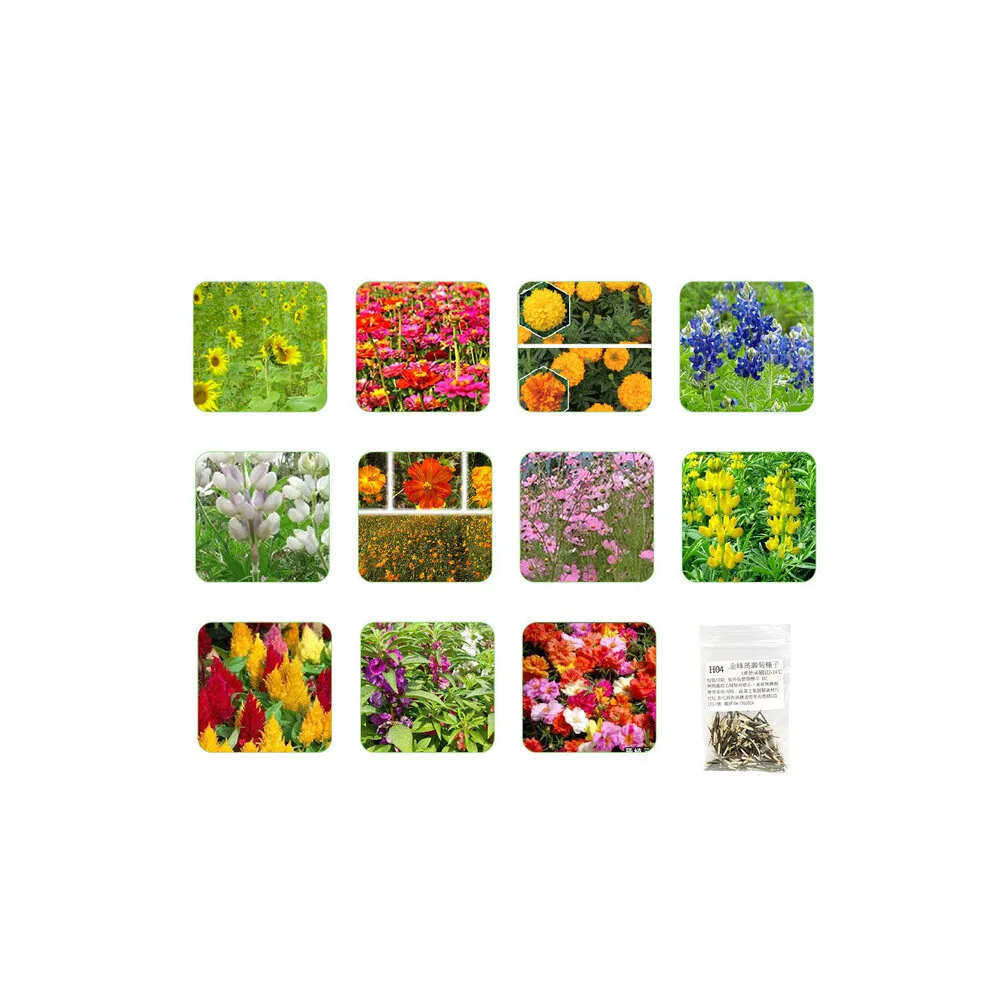 【蔬菜工坊】全年及夏季可栽培花卉種子系列-各包裝數量詳見內文(向日葵 百日草 萬壽菊 雞冠花 大理花)