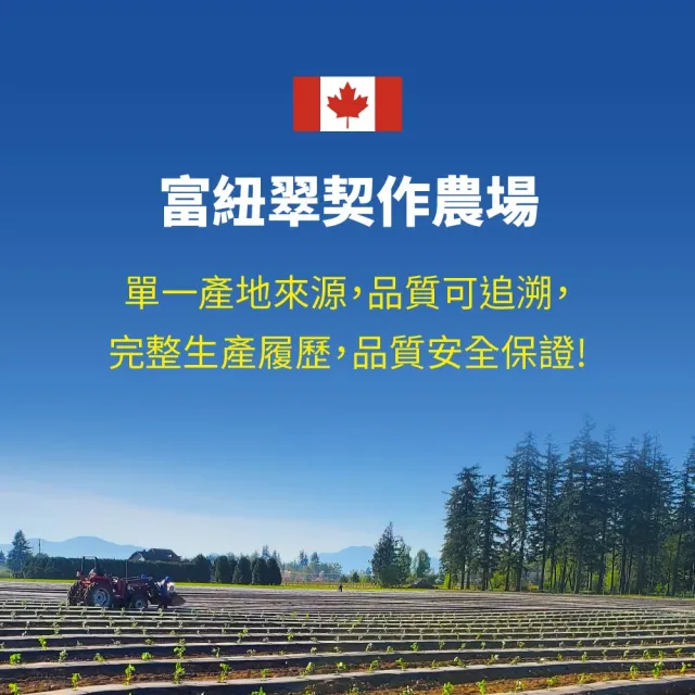 【Frenature 富紐翠】加拿大A級冷凍藍莓 箱購組 350g x 24包組(冷凍宅配)