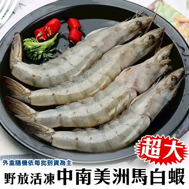 【三頓飯】野放活凍超大中南美洲馬白蝦 3盒組(600g/盒 約10-20尾/盒)
