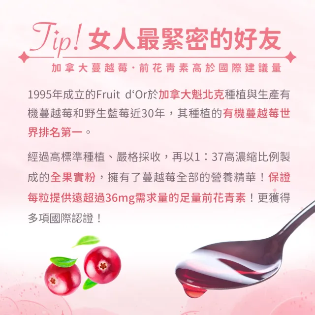 【人可和】蔓越莓益生菌(4入組)-80mg前花青素+13種香香益生菌｜女性呵護效益遠高於優鮮沛｜永豐集團