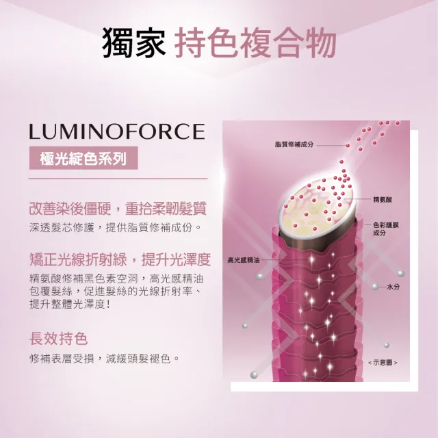 【SHISEIDO PROFESSIONAL 資生堂專業美髮】極光綻色洗髮露500ml(染後 / 護色)