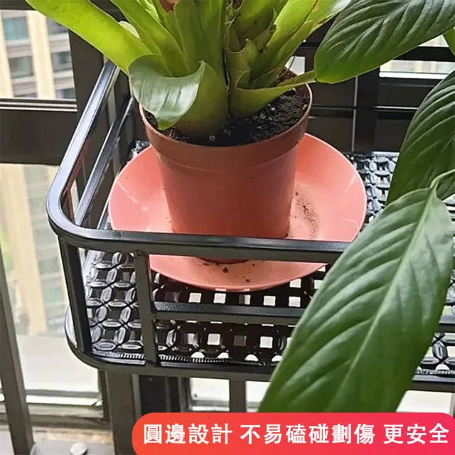 【ZHIPU 芝浦】花架 陽台花架 牆掛式花架 實體牆適用 圓角設計 防磕碰 盆栽收納架 陽台植栽置物架p