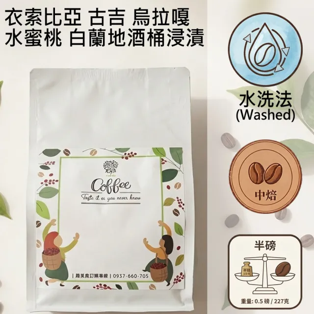 【木子家咖啡】衣索比亞 古吉|烏拉嘎 水蜜桃白蘭地酒桶浸漬 水洗中焙單品咖啡豆(半磅/包、PROBAT烘豆機)