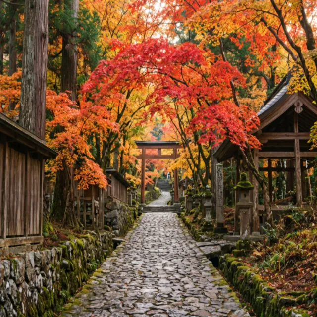 【喜鴻假期】★高雄出發．達摩祈願關西楓情６日★紅葉隧道、宇治遊船品茶、彥根城、手作杯麵