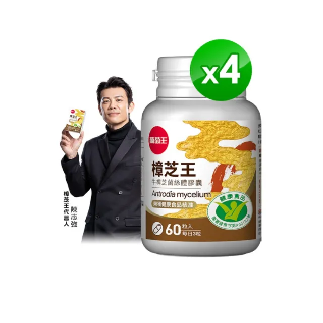 【葡萄王】樟芝王菌絲體膠囊 x4瓶 共240粒(陳志強推薦 GABA 芝麻素 幫助入睡 牛樟芝膠囊 葡萄王官方)