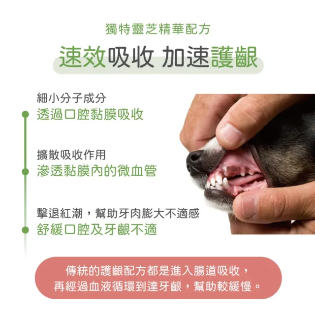 【PROUDPET 嬌寵醫生】牙齦研口腔噴液 20mlx2入(犬貓護齦/寵物潔牙/貓狗口腔噴液/寵物清潔)