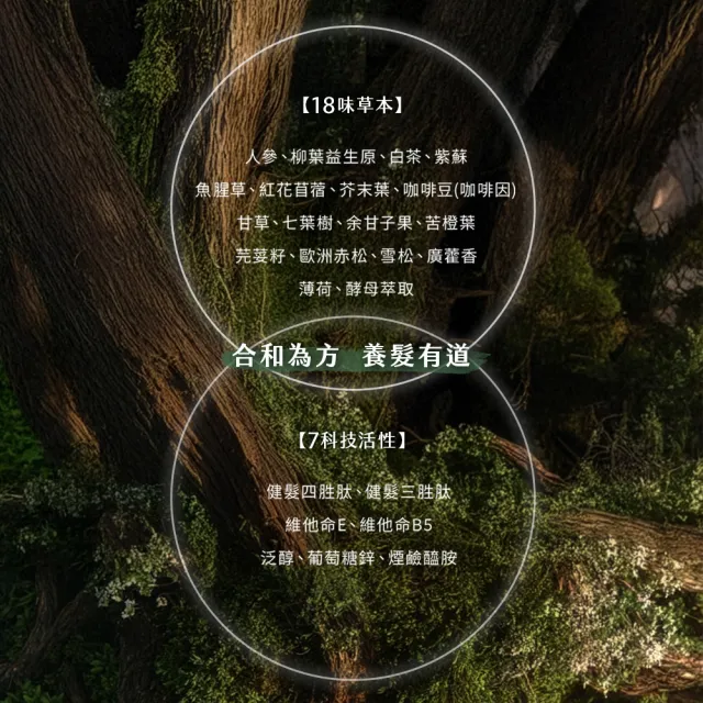 【阿原】人參豐盈養髮液50mL(強健髮根)(醫師好辣 節目推薦)