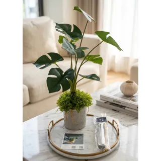 【HUGO DECO 榆果傢飾】擬真龜背芋 電信蘭香氛植栽 高款(擬真植物/人造盆栽/綠化/佈置/禮物)