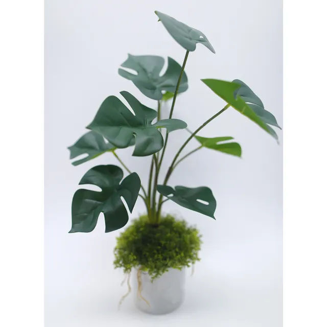 【HUGO DECO 榆果傢飾】擬真龜背芋 電信蘭香氛植栽 高款(擬真植物/人造盆栽/綠化/佈置/禮物)
