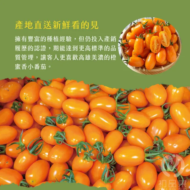 【初品果】高雄美濃達哥橙蜜香小番茄禮盒4斤x2盒(含箱重)