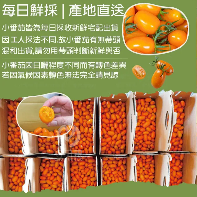 【初品果】高雄美濃達哥橙蜜香小番茄禮盒4斤x2盒(含箱重)