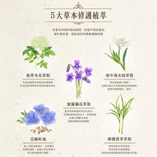 【PAUL & JOE】紫羅蘭草本能量精華油 40ml