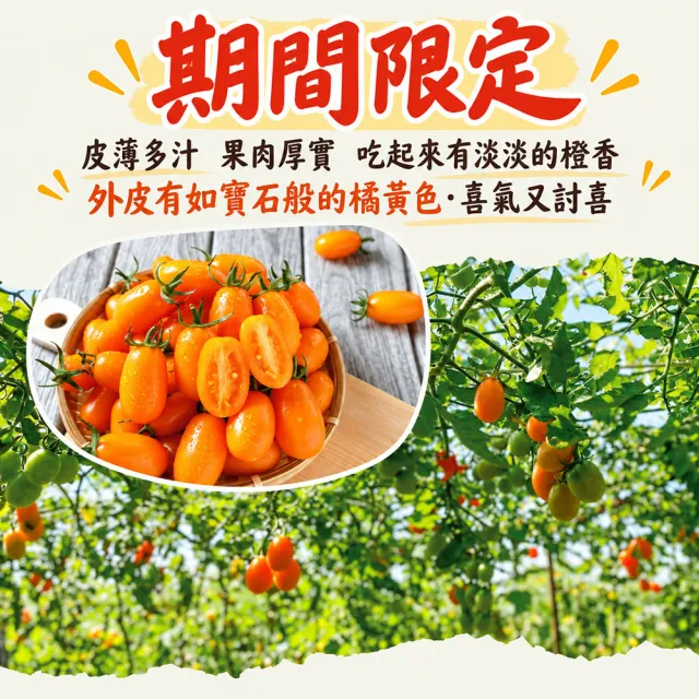 【初品果】高雄美濃達哥橙蜜香小番茄禮盒3斤x4盒(送禮/禮盒/水果禮盒_春節禮盒_產銷履歷_季節限定)