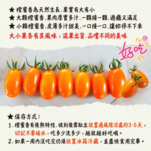 【初品果】高雄美濃達哥橙蜜香小番茄禮盒3斤x2盒(送禮/禮盒/水果禮盒__春節禮盒_產銷履歷_季節限定)