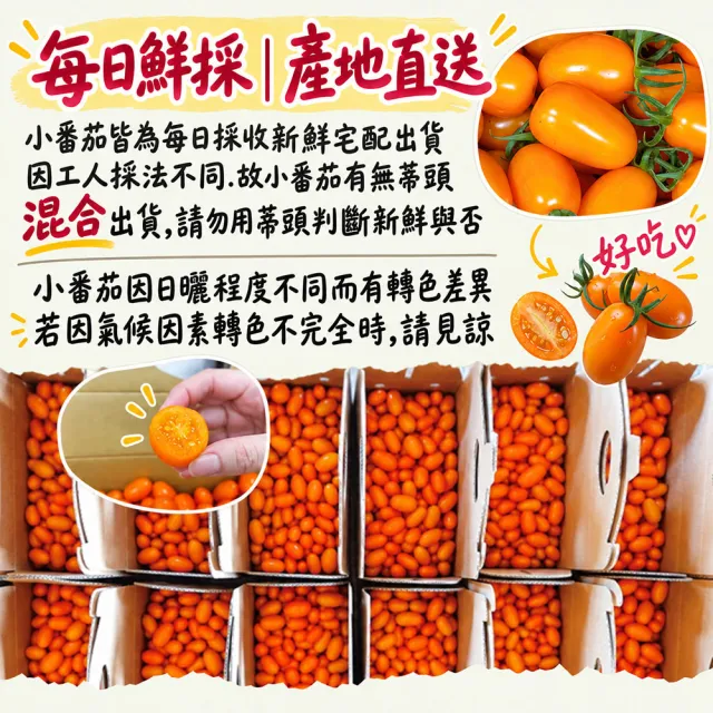 【初品果】高雄美濃達哥橙蜜香小番茄禮盒3斤x2盒(送禮/禮盒/水果禮盒__春節禮盒_產銷履歷_季節限定)