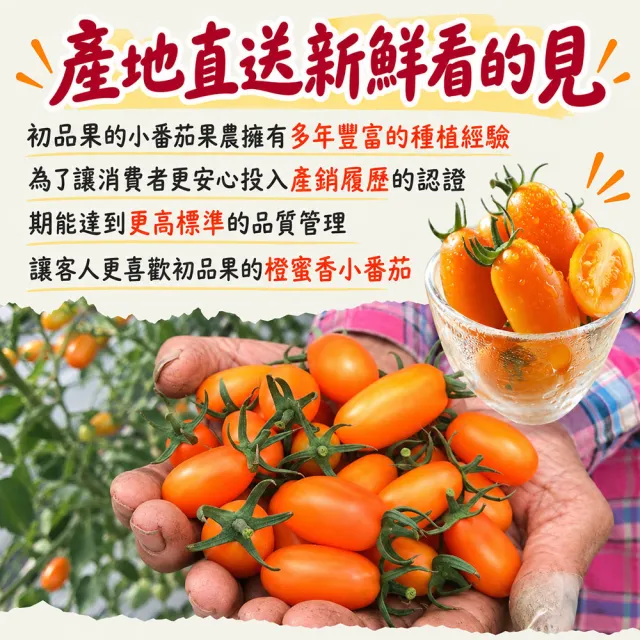 【初品果】高雄美濃達哥橙蜜香小番茄禮盒3斤x1盒(送禮/禮盒/水果禮盒_春節禮盒_產銷履歷_季節限定)