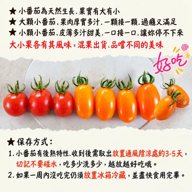 【初品果】美濃達哥雙色橙蜜香小番茄3斤x4盒(紅蜜+橙蜜金瑩_產銷履歷_送禮/禮盒/水果禮盒)