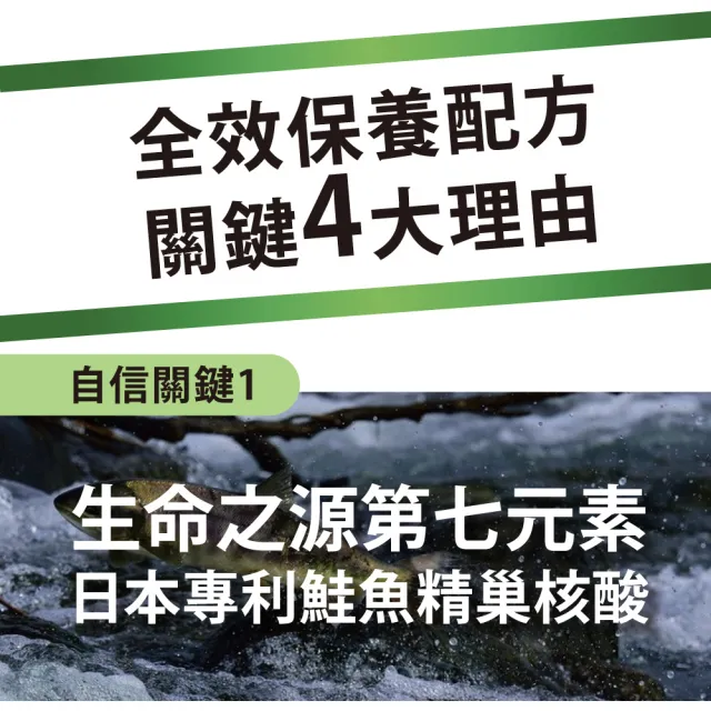 【達摩本草】專利盈法絲膠囊 1入組(30顆/包)
