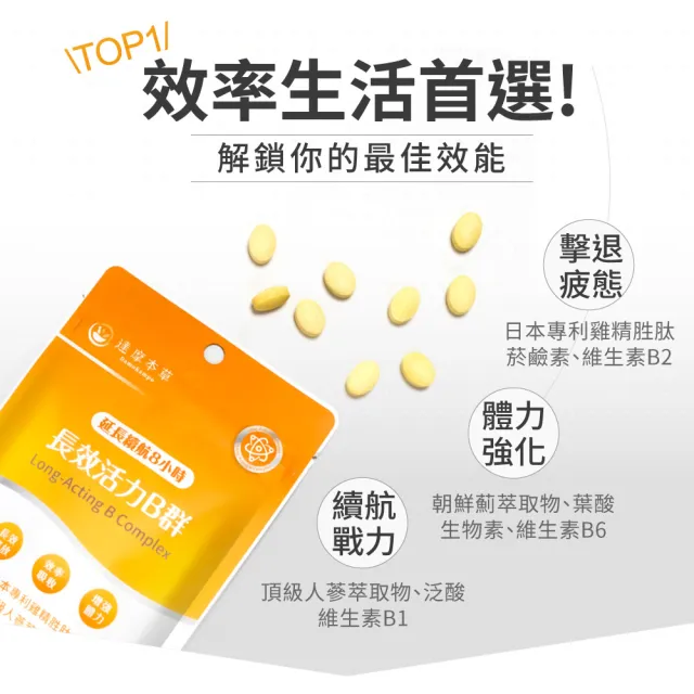 【達摩本草】長效活力B群錠 6入組(30錠/包、專科醫師推薦、滿足日常所需能量B群、雞精精華成分)