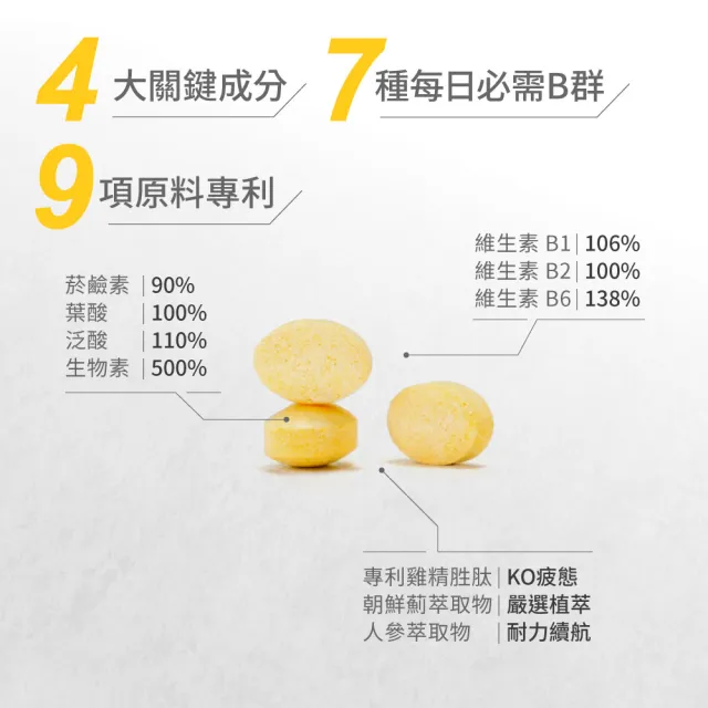 【達摩本草】長效活力B群錠 6入組(30錠/包、專科醫師推薦、滿足日常所需能量B群、雞精精華成分)