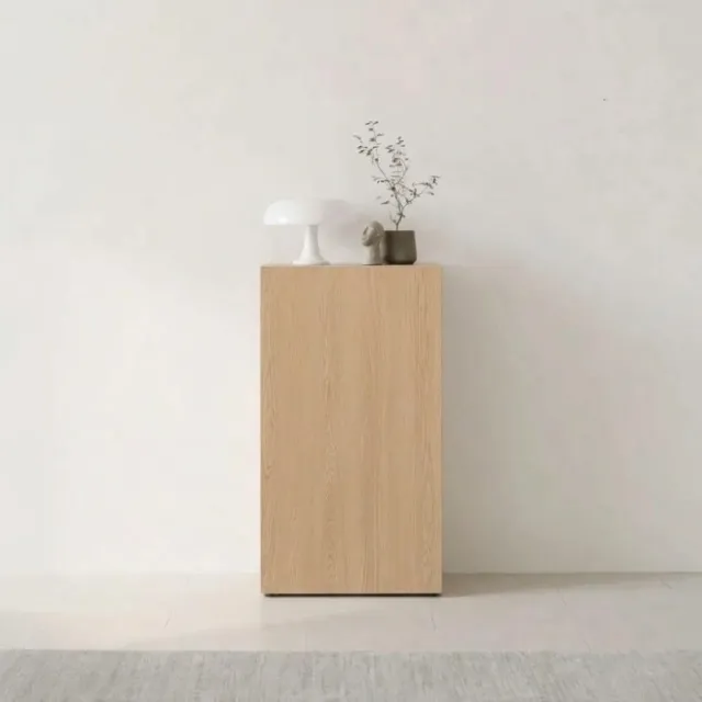 【iloom 怡倫家居】MONIS W 600型三層收納櫃 基本型門板(書櫃 書架 櫃子 玄關櫃 收納櫃 置物櫃 三層櫃)