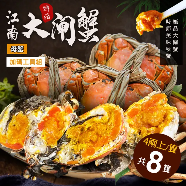 【優鮮配】母4兩上大閘蟹 8隻/贈工具組/江南大閘蟹