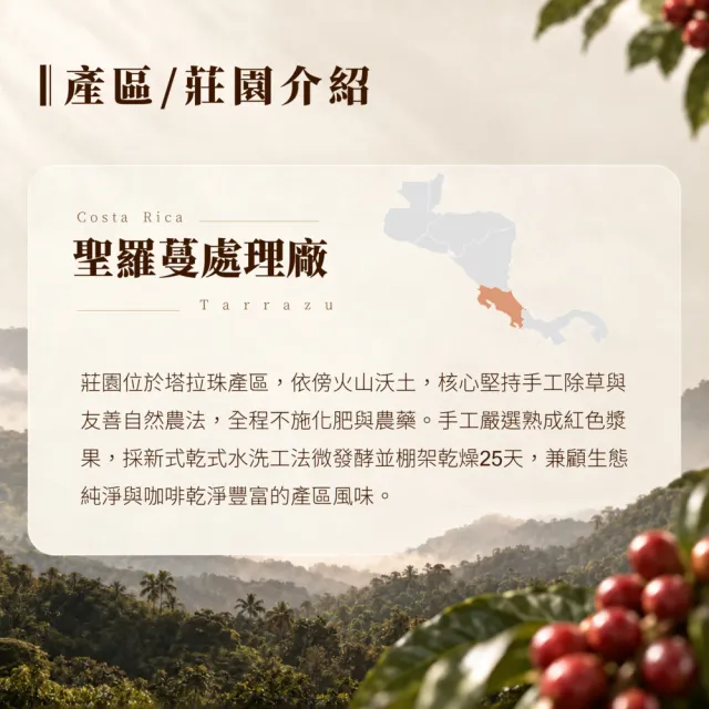 【戀】哥斯大黎加 塔拉珠 聖蘿蔓處理廠 蜂鳥SHB EP 葡萄乾密處理 淺焙精品咖啡豆(227g/袋)
