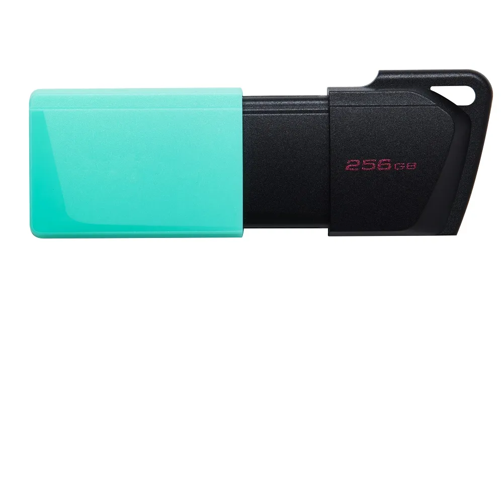 【Kingston 金士頓】DataTraveler Exodia M USB3.2 256GB 隨身碟(DTXM/256GB)