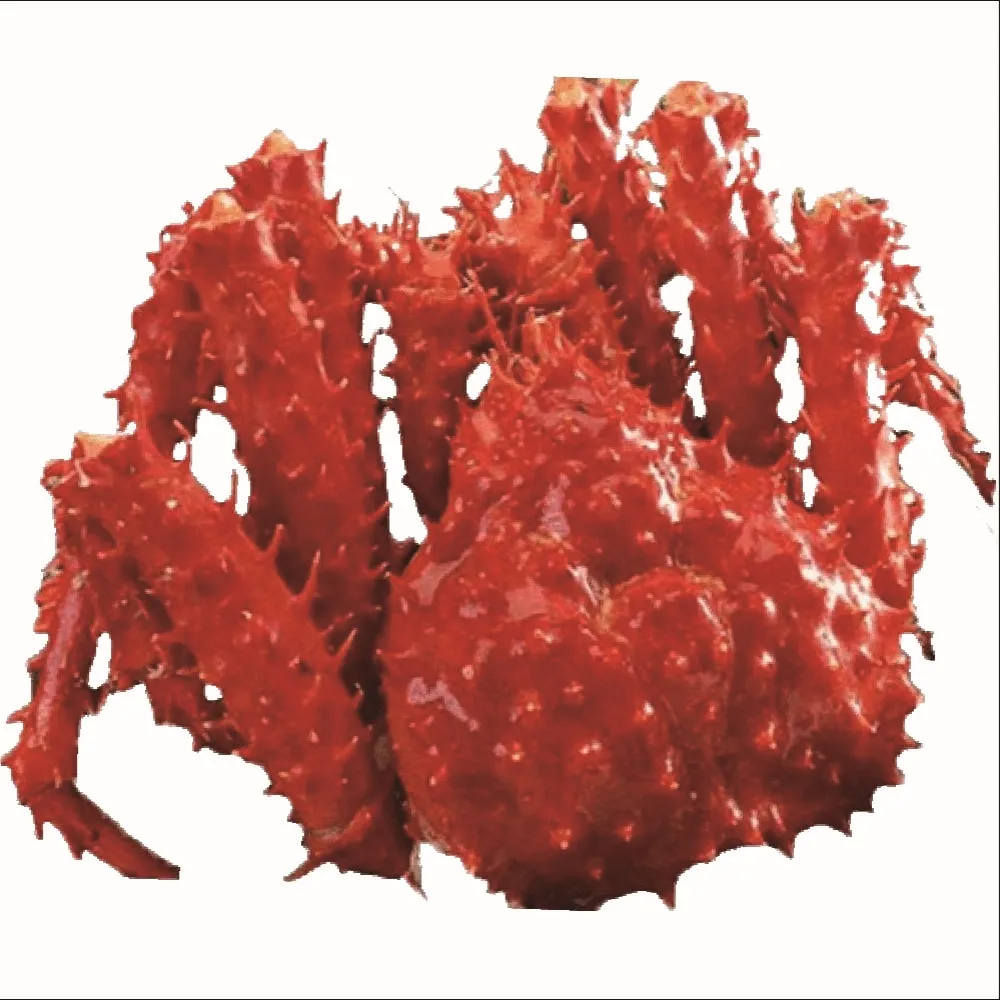 【海之醇】頂級熟凍帝王蟹1隻組(1350g-1550g/隻)