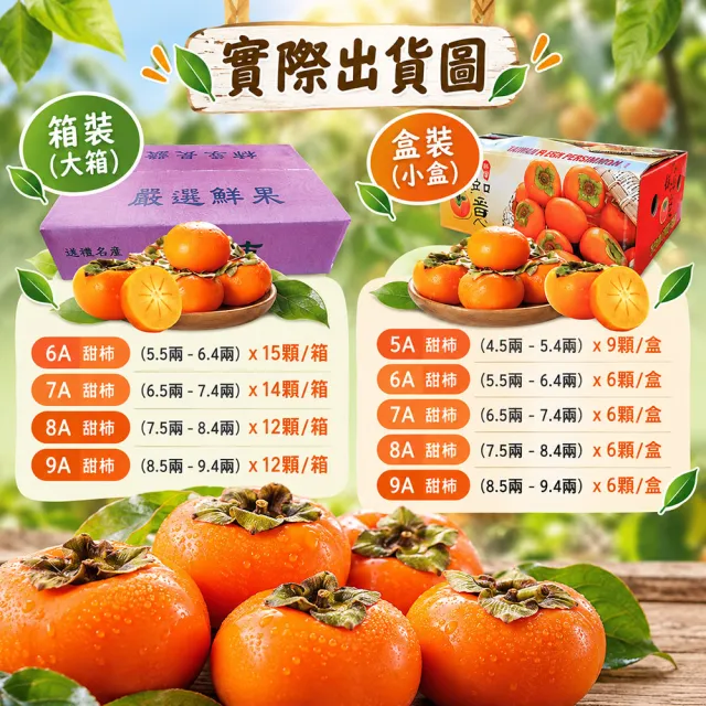 【初品果】達觀部落余大哥9A高山甜柿禮盒6顆x2盒(每顆315g±10%_年節禮盒_產地直送)