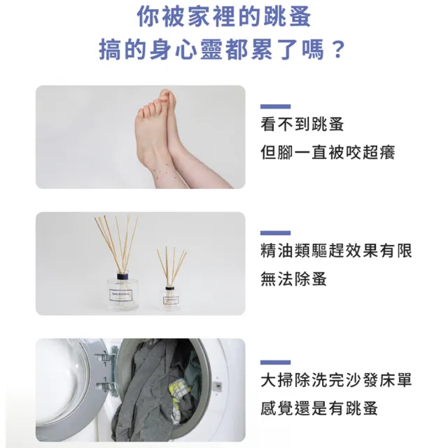 【福來朗】除蚤噴霧-5公升｜除蚤｜殺蚤｜跳蚤｜居家防蚤｜環境除蚤