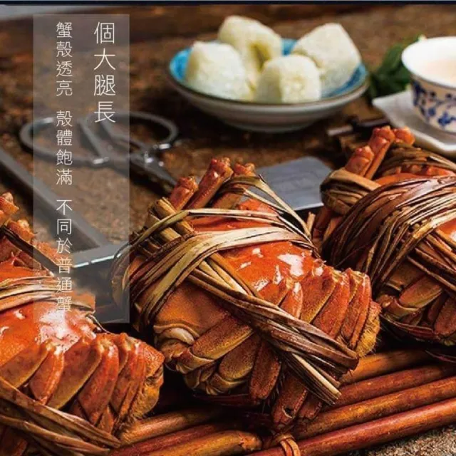 【三頓飯】正宗港A等級江南精品大閘蟹(共10隻_5.2-5.8兩/隻) 保證活蟹直送