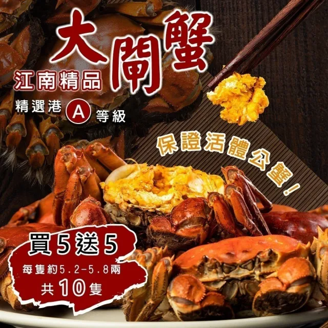 【三頓飯】正宗港A等級江南精品大閘蟹(共10隻_5.2-5.8兩/隻) 保證活蟹直送