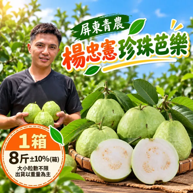 【初品果】各大媒體專訪 青農楊忠憲 牛奶珍珠芭樂禮盒8斤x1箱(大小粒數不限 冷藏宅配 屏東產地直送)
