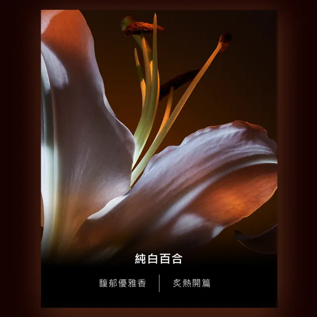 【YSL】官方直營自由不羈 恣意燃花淡香精 90ML(奔放花草香調/香水)