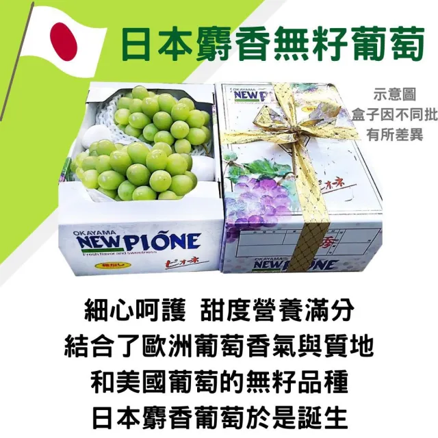 【RealShop】日本長野 秀等麝香葡萄 350-400g x 3房(禮盒裝 水果禮盒 皮薄無籽)