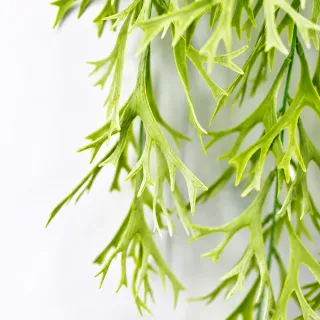 【HUGO DECO 榆果傢飾】特級擬真手感藤蔓植物 垂掛鹿角蕨 蕨類 爬藤 單把