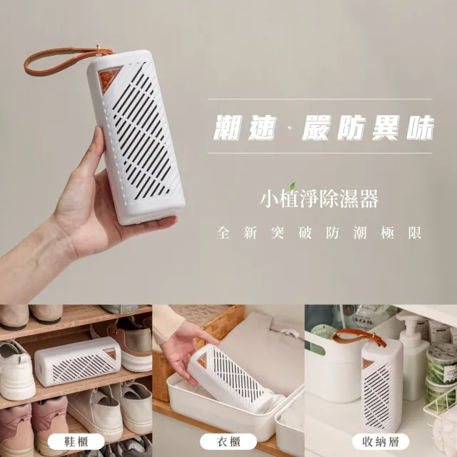 【SANSUI 山水】現貨速出 小植淨除濕器+還原座 迷你除濕機 除濕 除溼 防潮 防霉 懸掛直放兩用GRA360+NF100