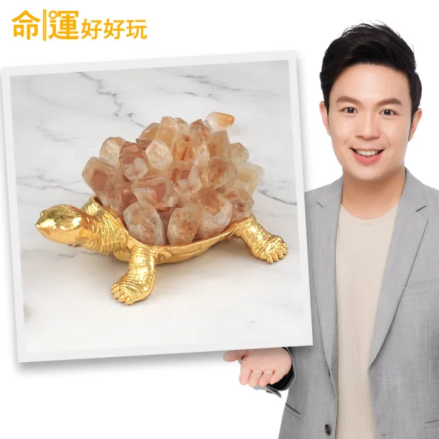 【命運好好玩】湯鎮瑋-黃晶簇聚財錢龜鎮
