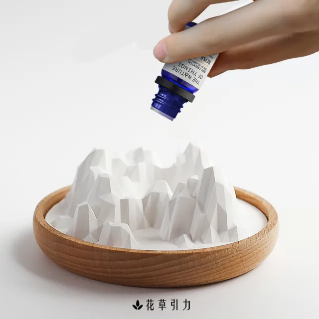【The Nature of things 自然之事】洛磯山脈-矽藻土原木擴香石(吸濕防潮/除異味/避小人/車用香氛/開運)