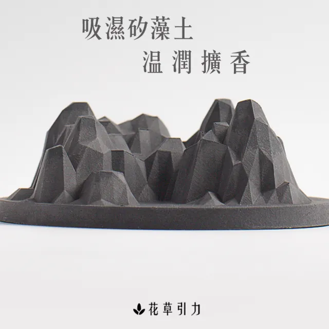 【The Nature of things 自然之事】洛磯山脈-矽藻土原木擴香石(吸濕防潮/除異味/避小人/車用香氛/開運)