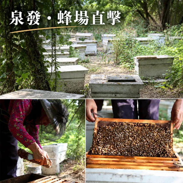 【CHYUANFA 泉發蜂蜜】森林百花蜂蜜820g 野蜂蜜 生蜜 泉發百年招牌A.A.100%無添加認證 自然熟成 雙11推薦