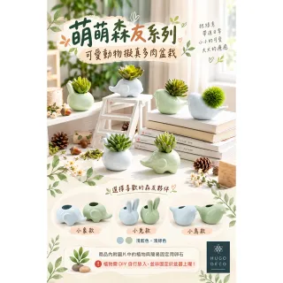 【HUGO DECO 榆果傢飾】萌萌森友系列可愛動物擬真多肉盆栽 小象款 共兩款