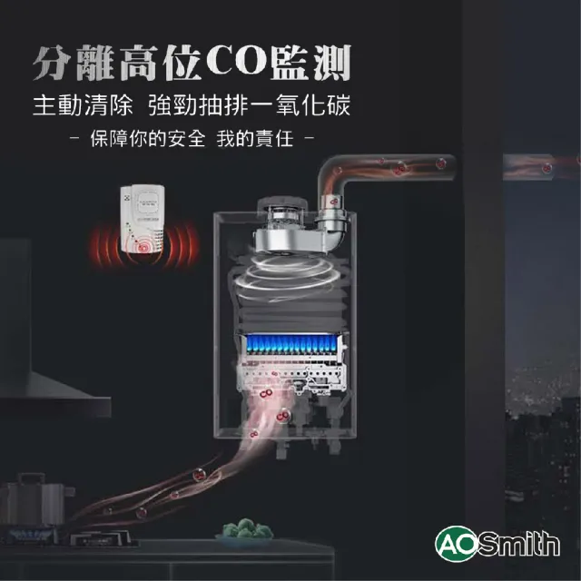 【A.O.Smith】AO史密斯 16L不鏽鋼瓦斯熱水器 JSQ31-ST16T NG1/FE式 (含基本安裝 僅適用天然氣)