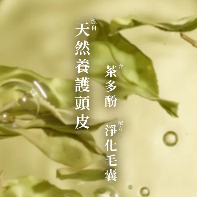 【Hair Recipe】髮的食譜 1111任選混搭組 洗髮精/潤髮乳510gx3(控油x防斷x強韌)