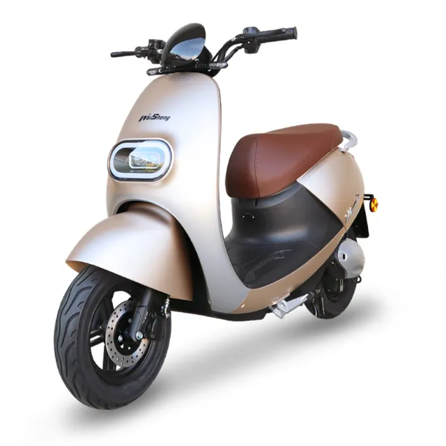 【向銓】MASTER微型電動二輪車 PEG-053 /泰勝 TSV-50(電動車)