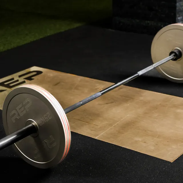 【REP】REP 精鋼校準槓片15KG（2入裝）/國際 IPF標準